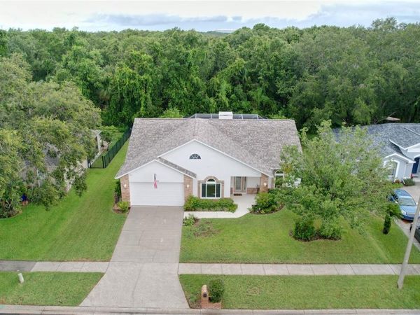7406 MINT JULEP DRIVE , RIVERVIEW, FL 33578
