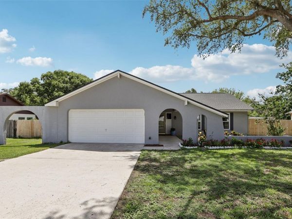 1009 BLACK KNIGHT DRIVE , VALRICO, FL 33594