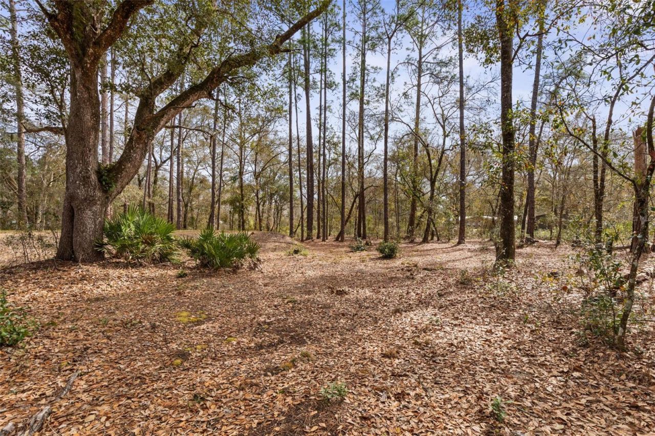 5055 Flagler Estates Blvd , Hastings, FL 32145 Photo