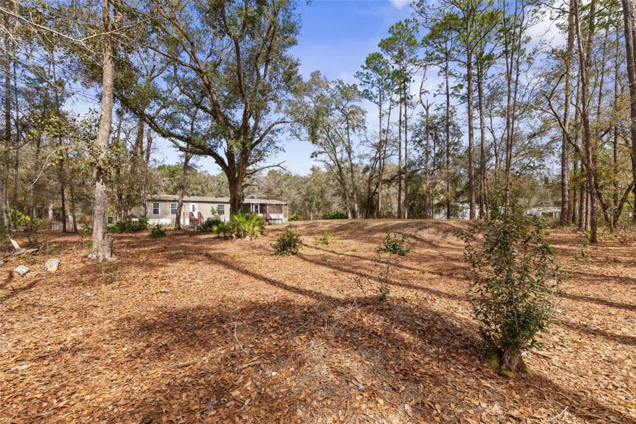 5055 Flagler Estates Blvd , Hastings, FL 32145 Photo