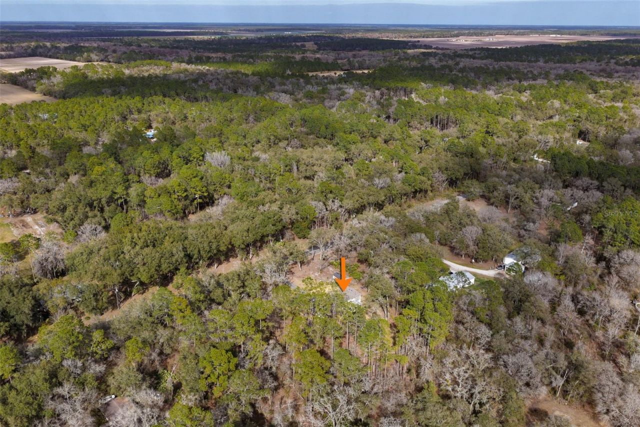 5055 Flagler Estates Blvd , Hastings, FL 32145 Photo