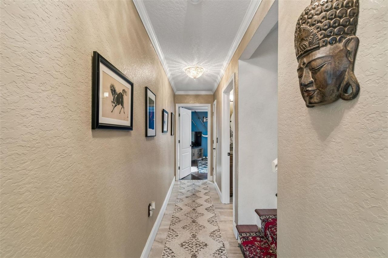 5517 Tropic Drive, New Port Richey, FL 34653 Photo