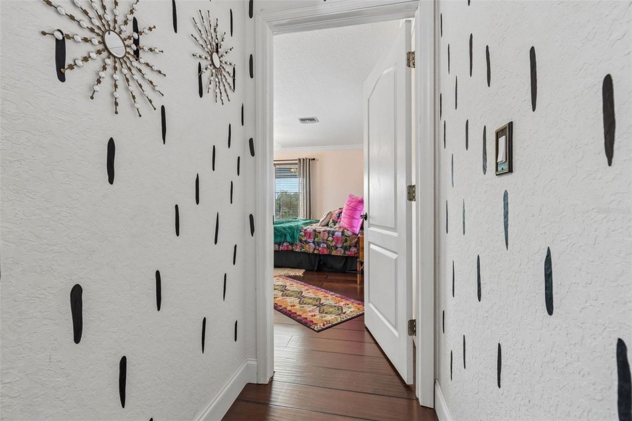 5517 Tropic Drive, New Port Richey, FL 34653 Photo