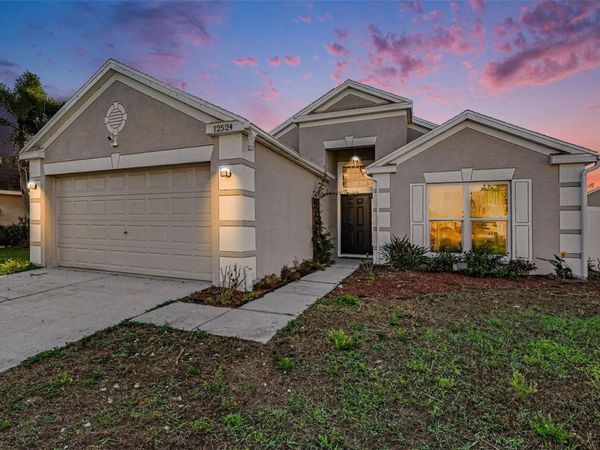 12524 MIDPOINTE DRIVE , RIVERVIEW, FL 33578