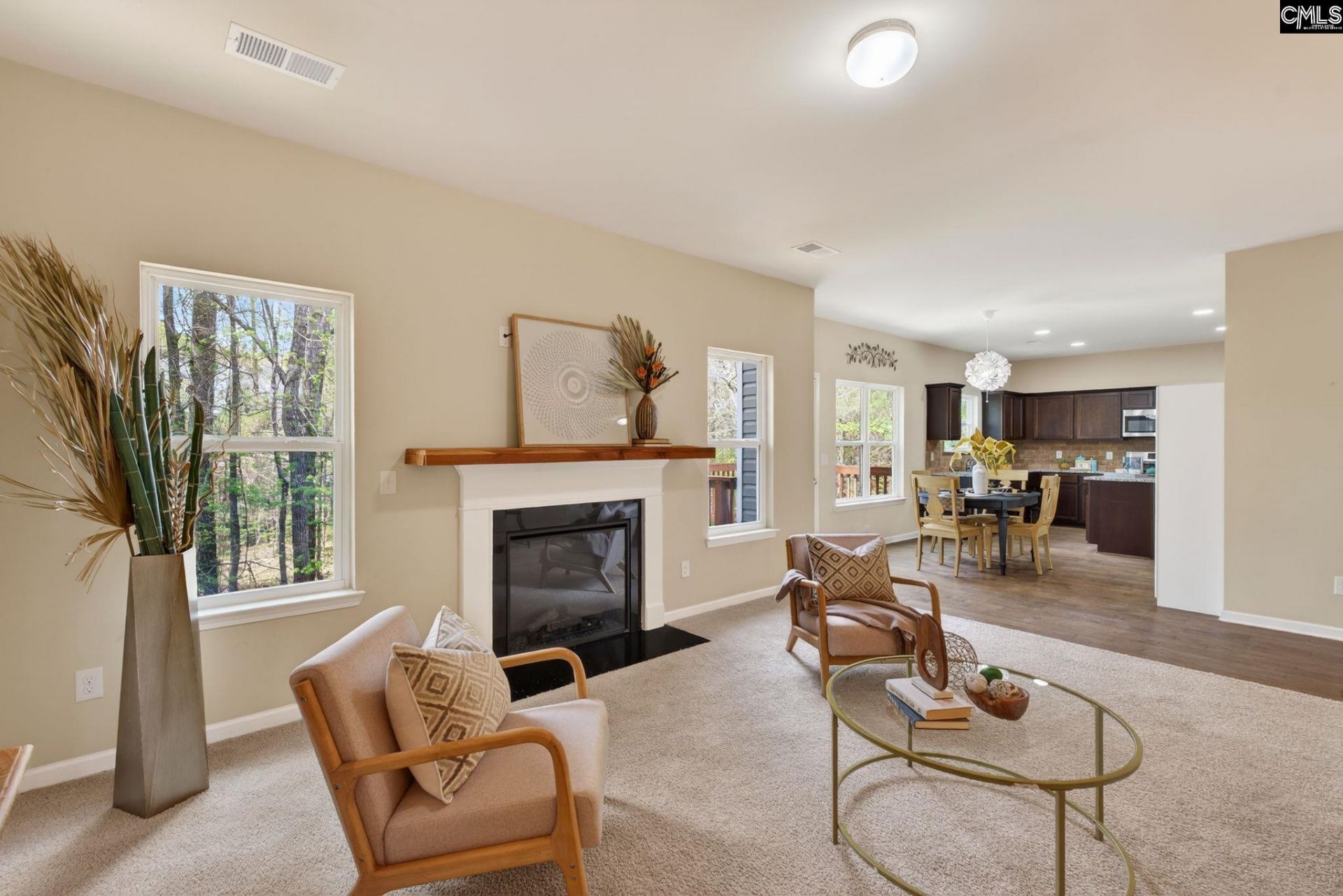 715 Soldier Gray Lane  Photo 18