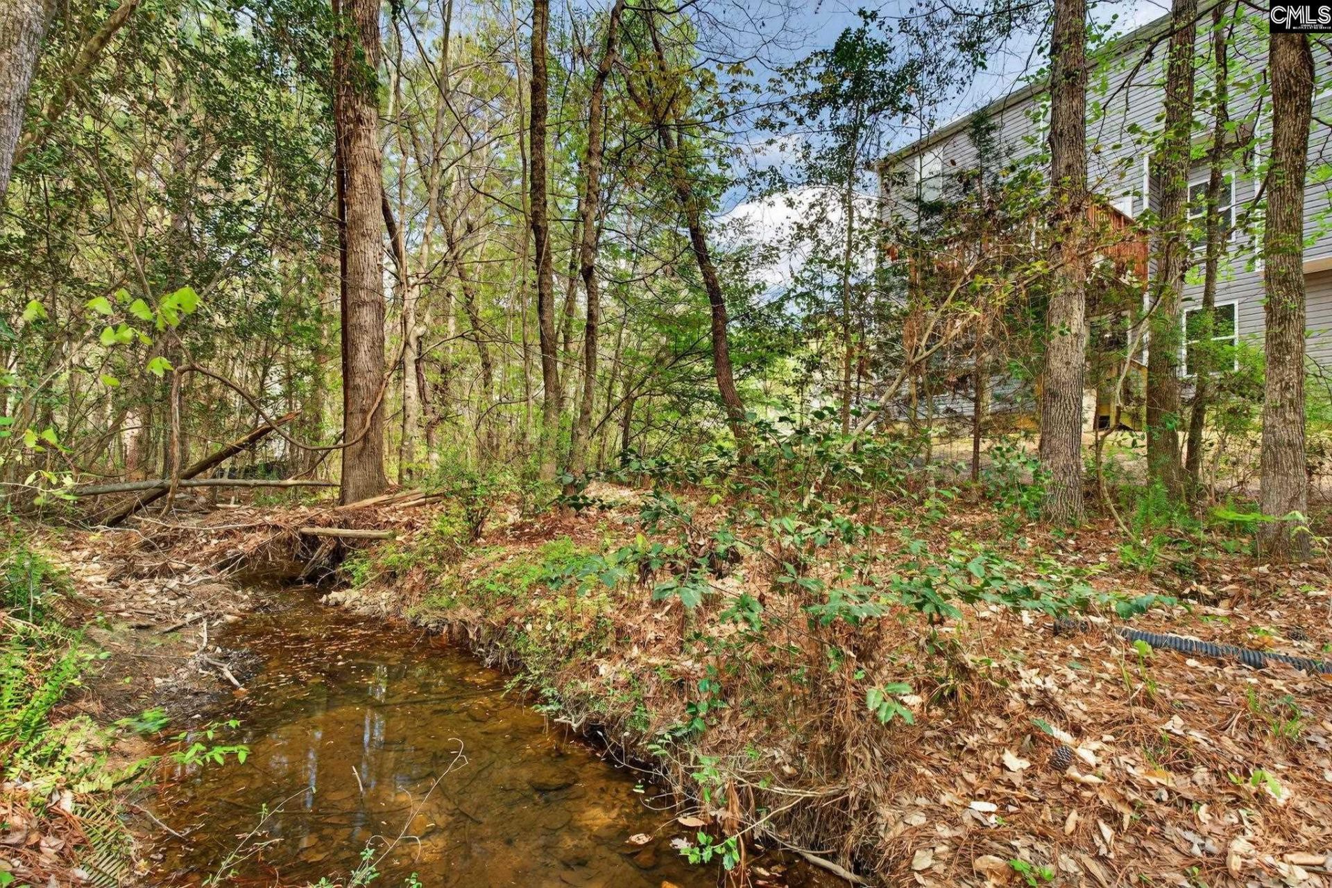 715 Soldier Gray Lane  Photo 52