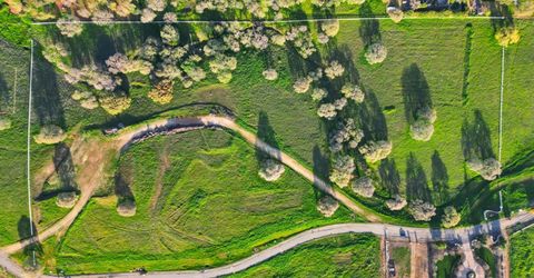 2021-lot 1 Via Veritas, El Dorado Hills, CA 95762 Photo