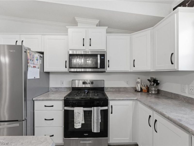 1598 Bogie Lane, Painesville, OH 44077 Photo 13