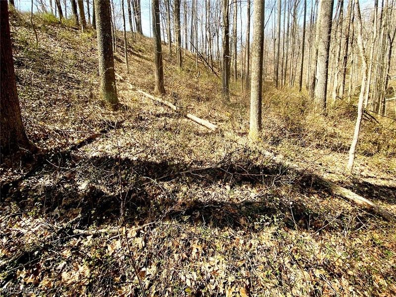 0 Township Rd 408, Warsaw, OH 43844 Photo 10