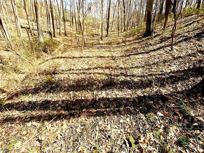 0 Township Rd 408, Warsaw, OH 43844 Photo 11