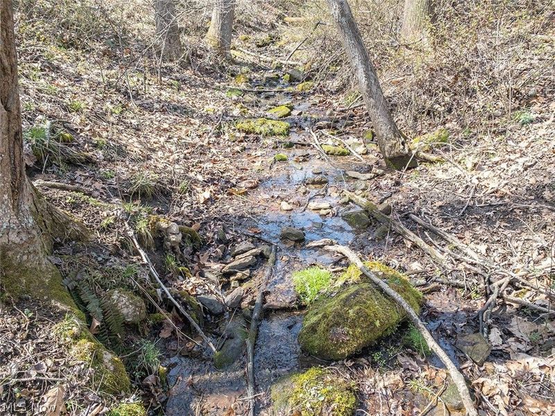 0 Township Rd 408, Warsaw, OH 43844 Photo 13