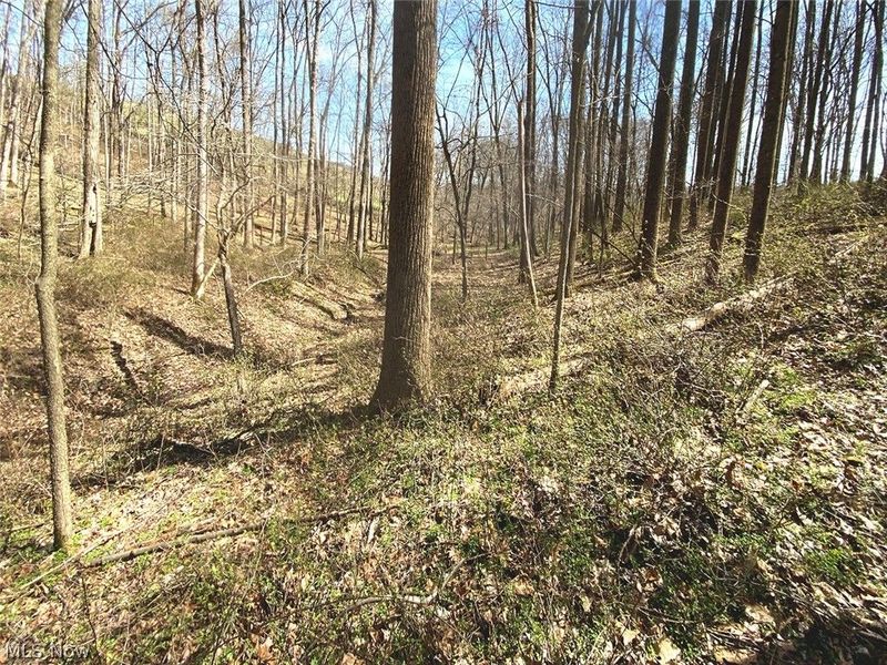 0 Township Rd 408, Warsaw, OH 43844 Photo 14