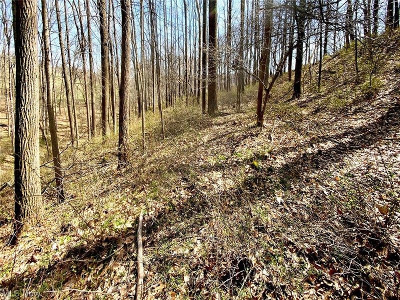 0 Township Rd 408, Warsaw, OH 43844 Photo 15