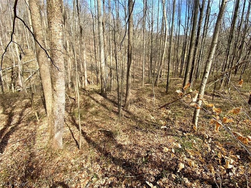 0 Township Rd 408, Warsaw, OH 43844 Photo 16