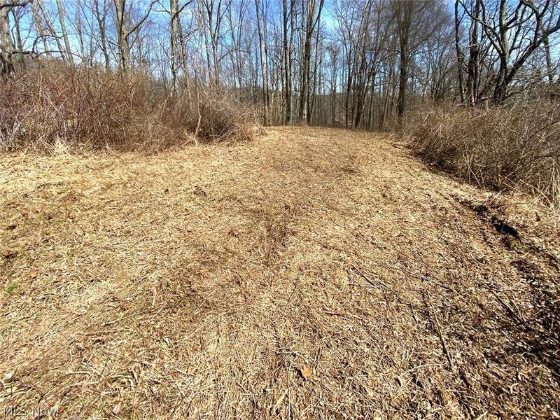 0 Township Rd 408, Warsaw, OH 43844 Photo 18