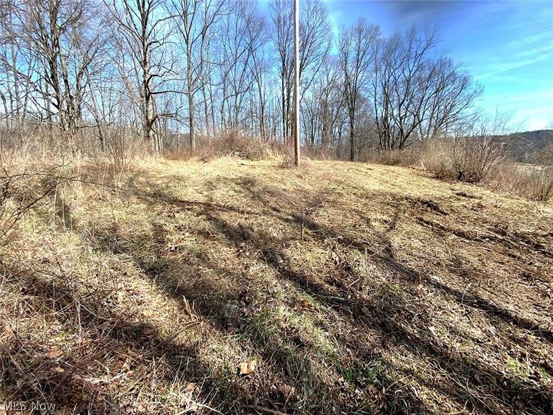 0 Township Rd 408, Warsaw, OH 43844 Photo 19