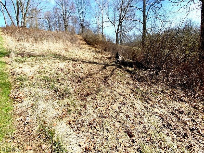 0 Township Rd 408, Warsaw, OH 43844 Photo 2