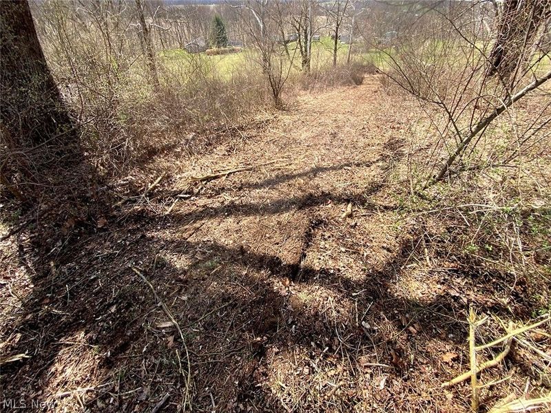 0 Township Rd 408, Warsaw, OH 43844 Photo 20