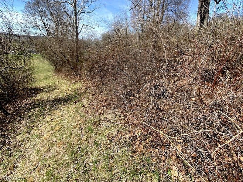 0 Township Rd 408, Warsaw, OH 43844 Photo 4