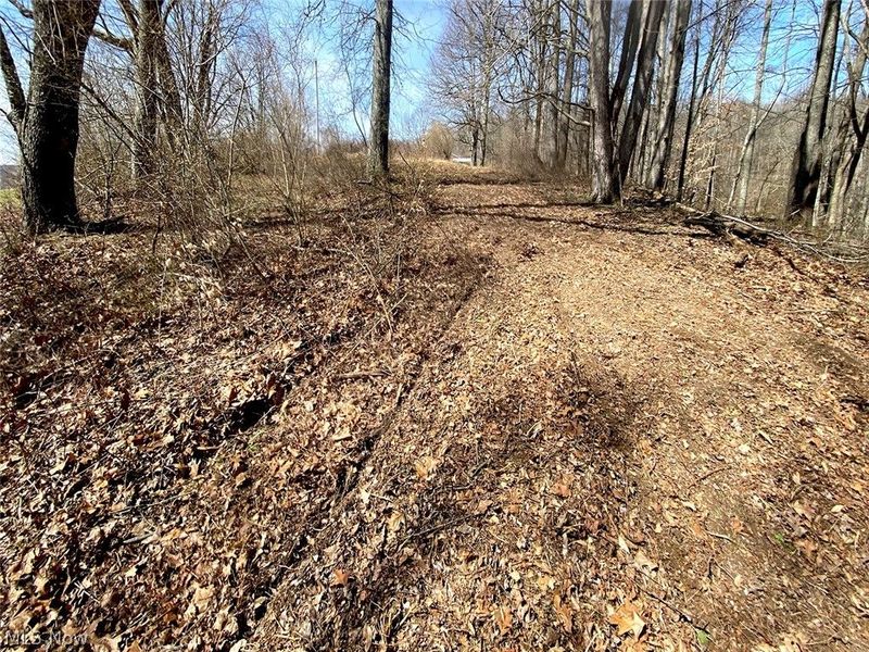 0 Township Rd 408, Warsaw, OH 43844 Photo 6