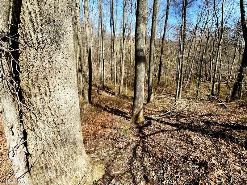 0 Township Rd 408, Warsaw, OH 43844 Photo 8