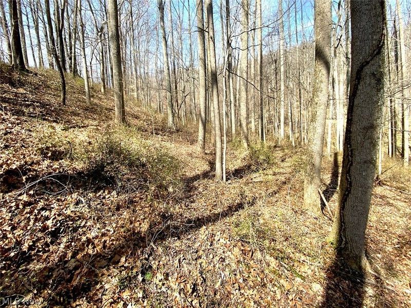 0 Township Rd 408, Warsaw, OH 43844 Photo 9