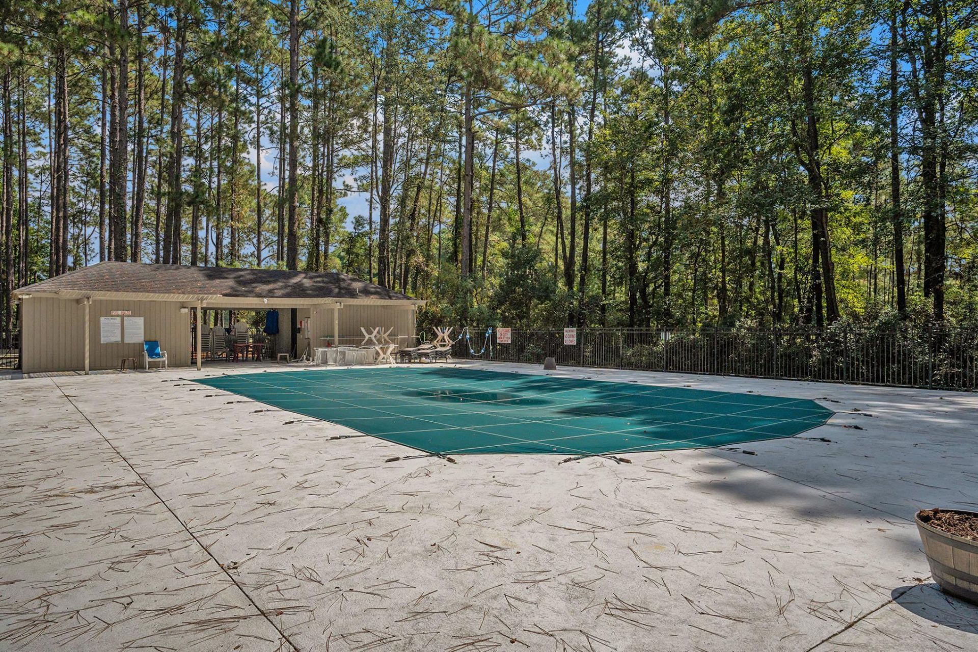 115 Hickory Dr. Photo 37