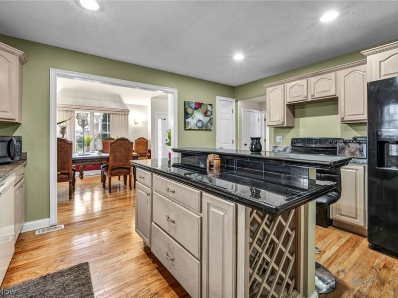 177 E 192nd Street, Euclid, OH 44119 Photo 10