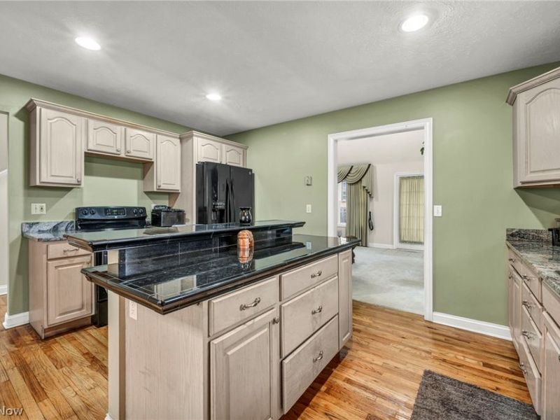 177 E 192nd Street, Euclid, OH 44119 Photo 12