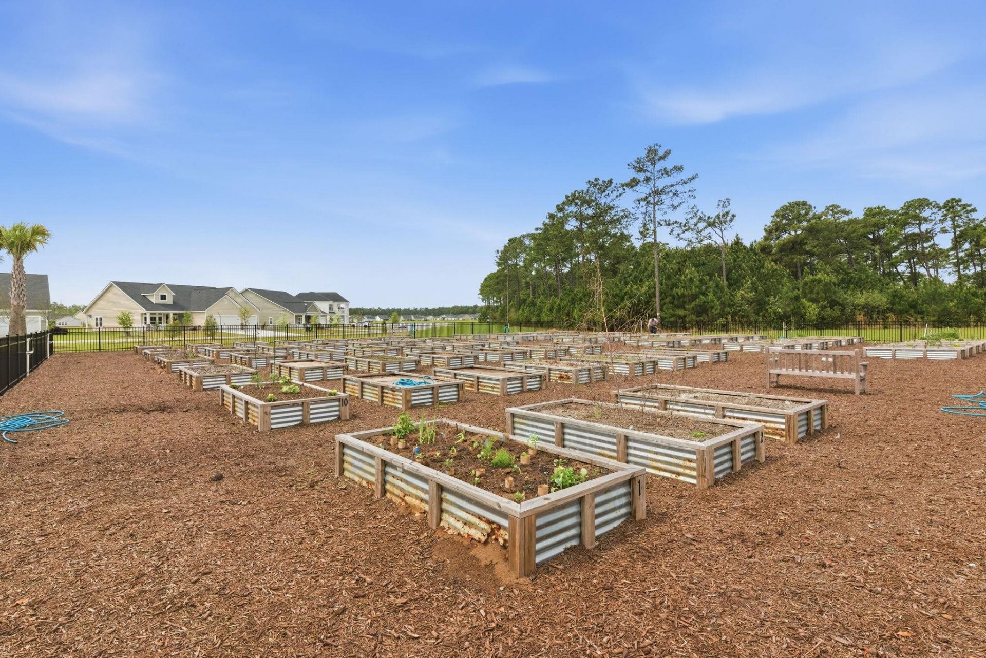 208 Augusta Green Way Photo 36