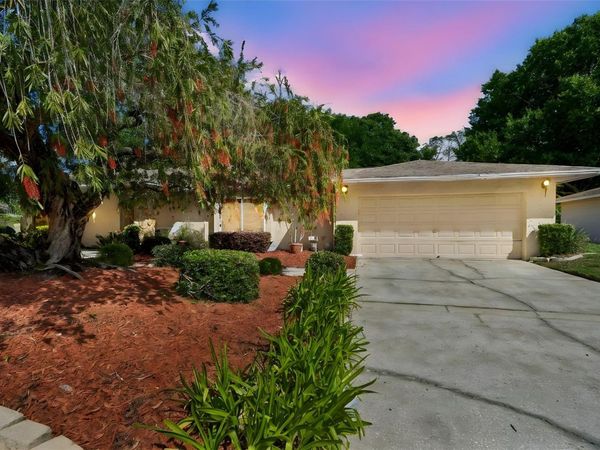 9004 HOGANS BEND, TAMPA, FL 33647