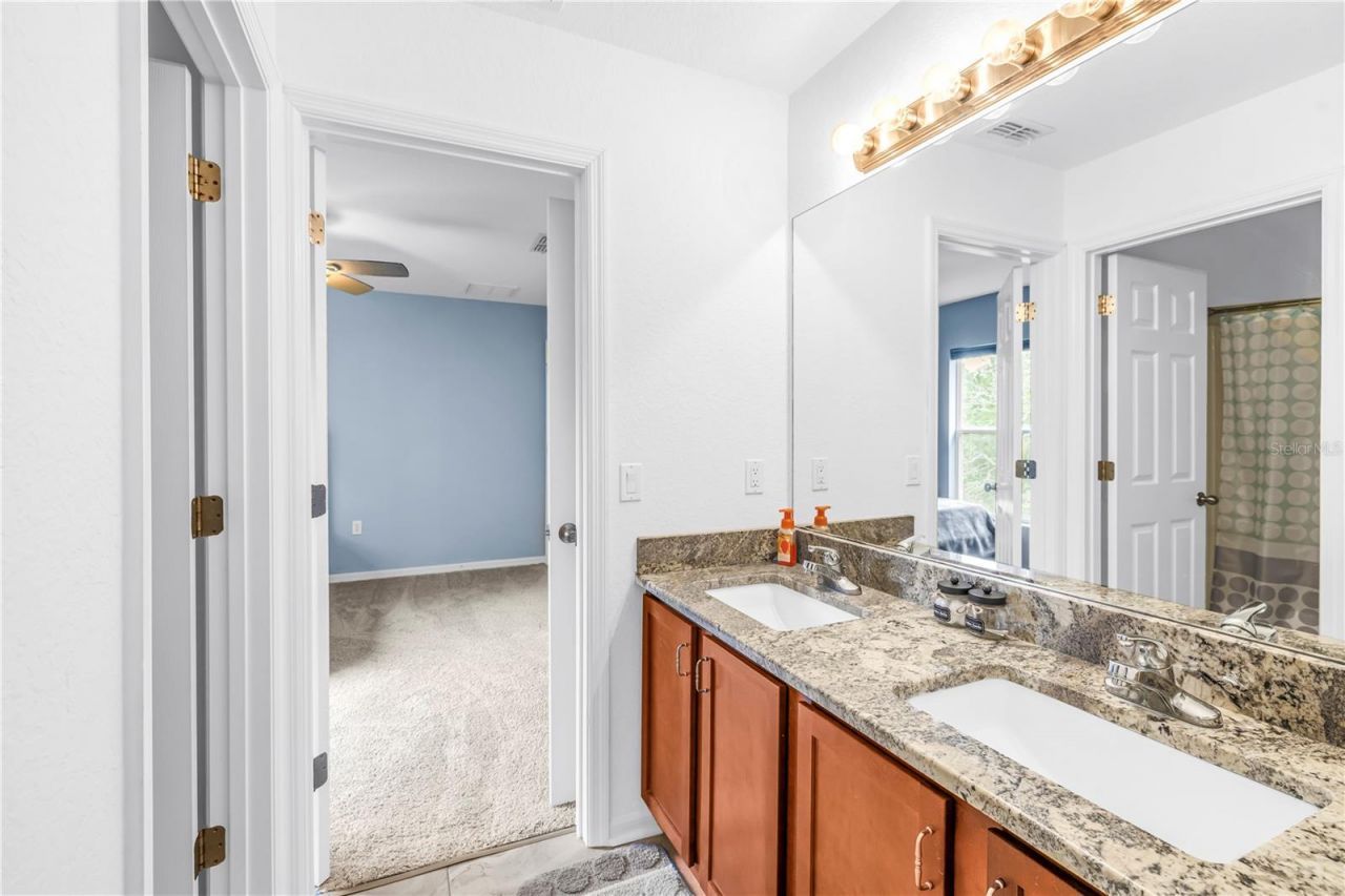 9630 Nathaniel Lane, Land O Lakes, FL 34638 Photo