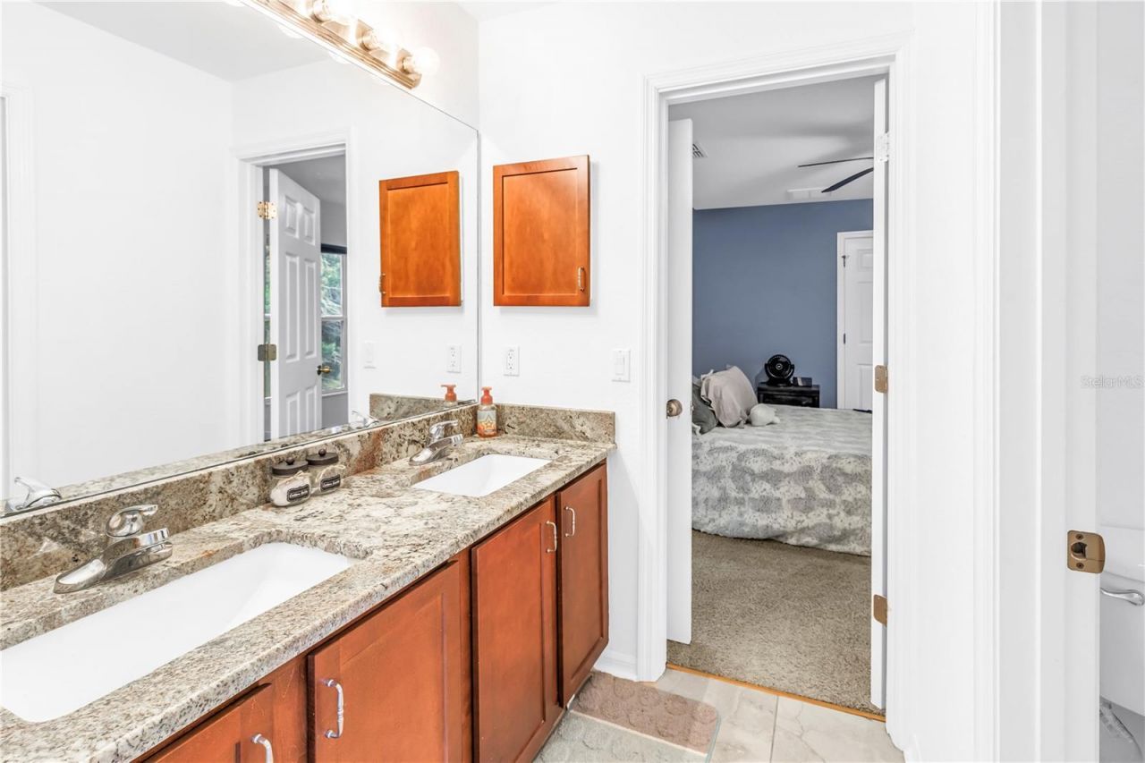9630 Nathaniel Lane, Land O Lakes, FL 34638 Photo