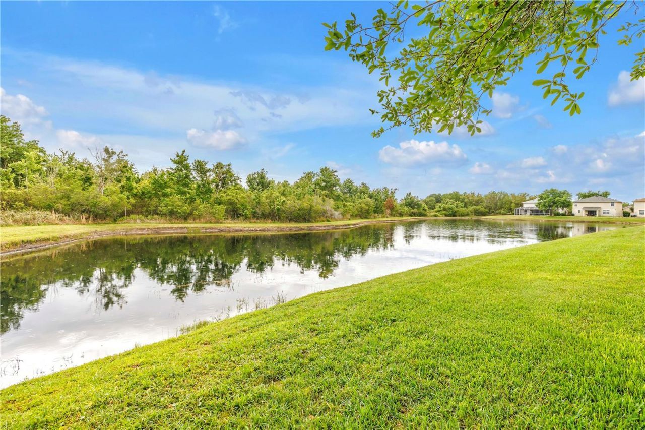 9630 Nathaniel Lane, Land O Lakes, FL 34638 Photo