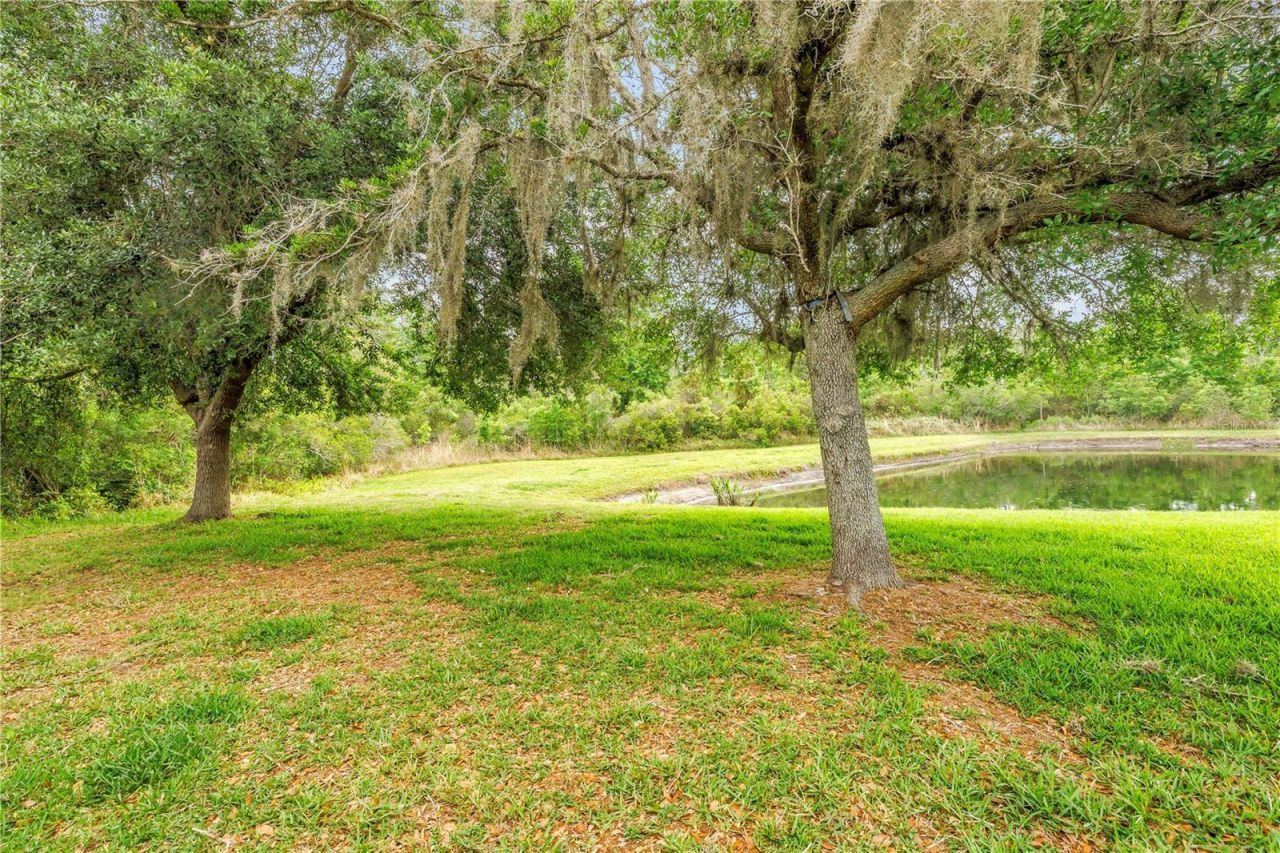 9630 Nathaniel Lane, Land O Lakes, FL 34638 Photo