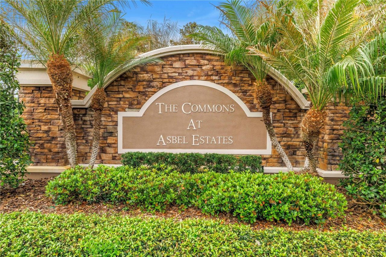 9630 Nathaniel Lane, Land O Lakes, FL 34638 Photo