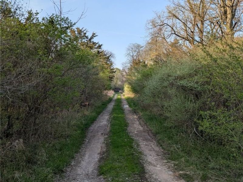 115 Beech Street, Kelleys Island, OH 43438 Photo 3