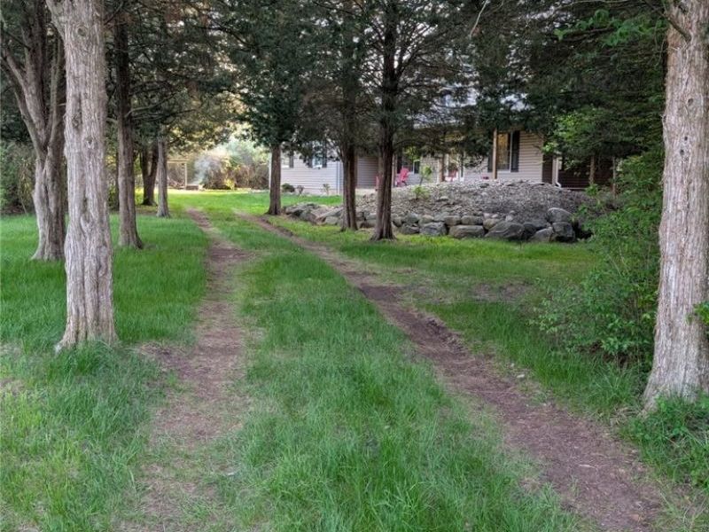 115 Beech Street, Kelleys Island, OH 43438 Photo 4