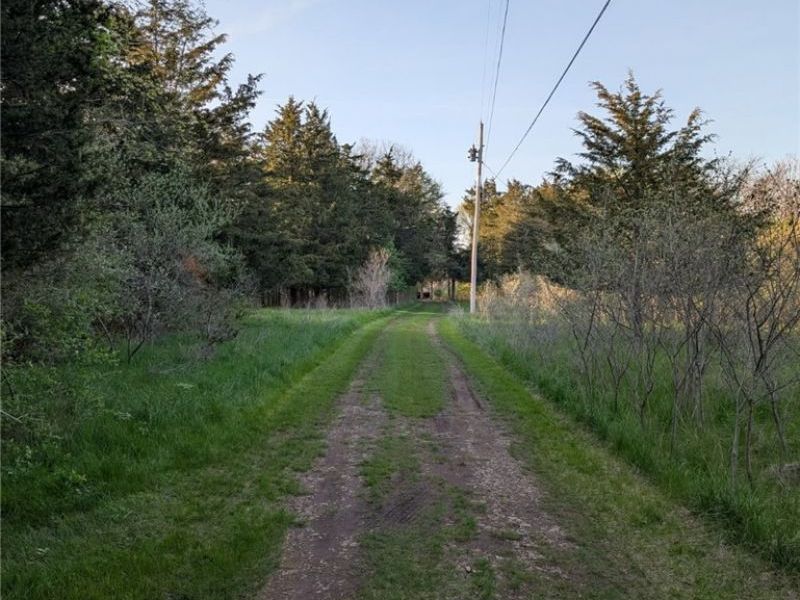 115 Beech Street, Kelleys Island, OH 43438 Photo 5