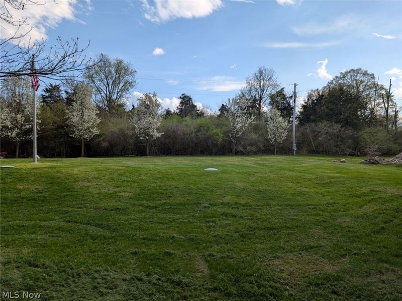 115 Beech Street, Kelleys Island, OH 43438 Photo 8