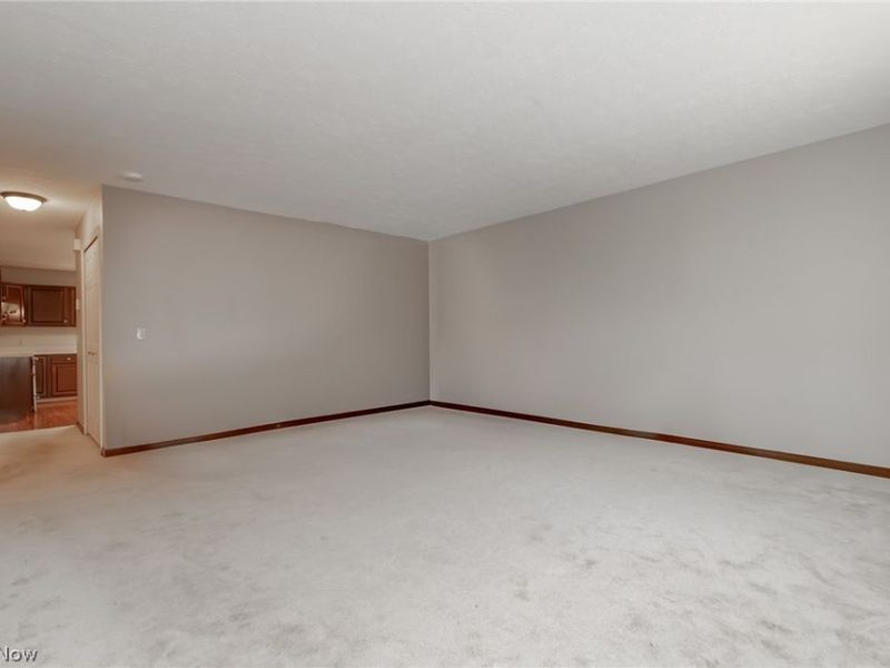 133 Hampshire Cove, Painesville Township, OH 44077 Photo 5