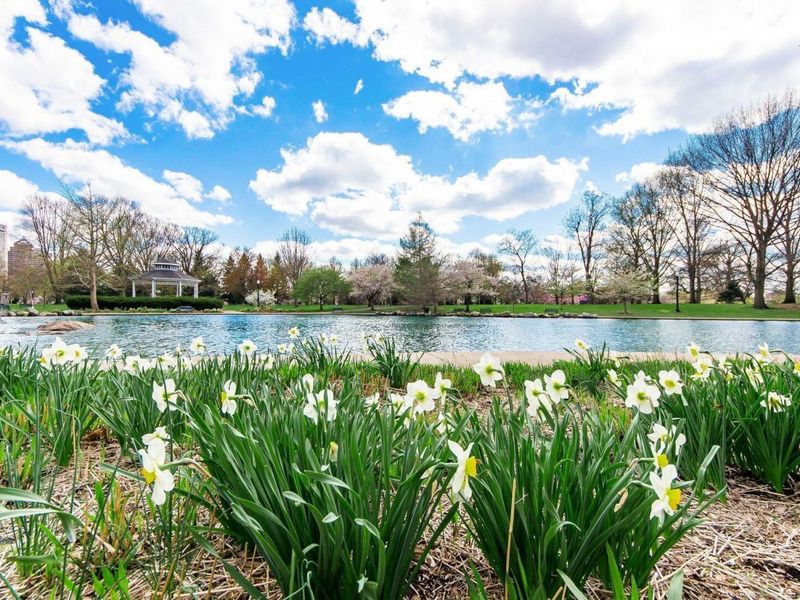 951 Mount Pleasant Avenue, Columbus, OH 43201 Photo 44