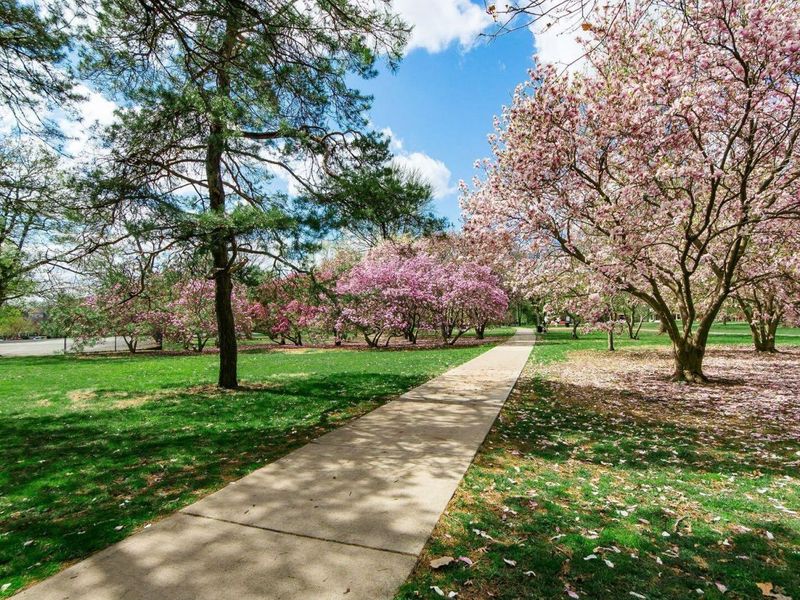 951 Mount Pleasant Avenue, Columbus, OH 43201 Photo 45