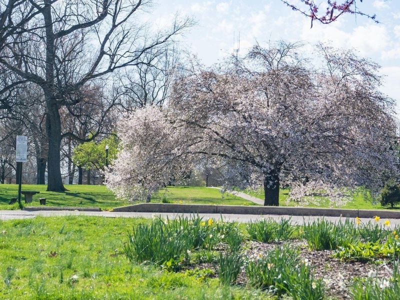 951 Mount Pleasant Avenue, Columbus, OH 43201 Photo 48