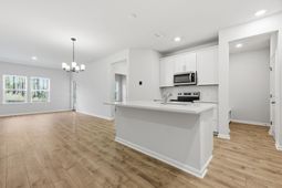 224 Twinleaf Court photo 4