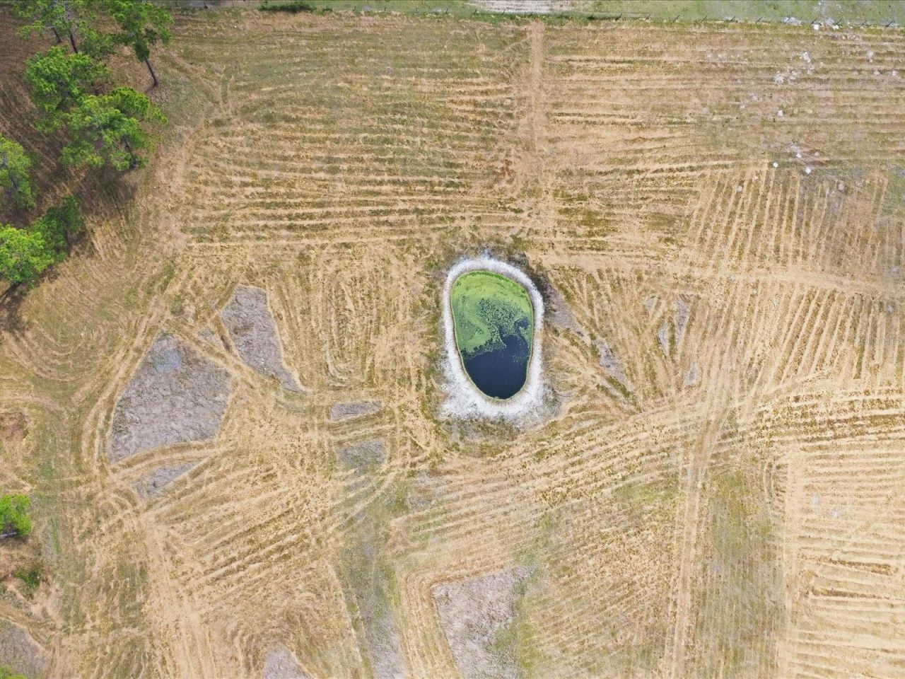 County Road 469 , Center Hill, FL 33514 Photo