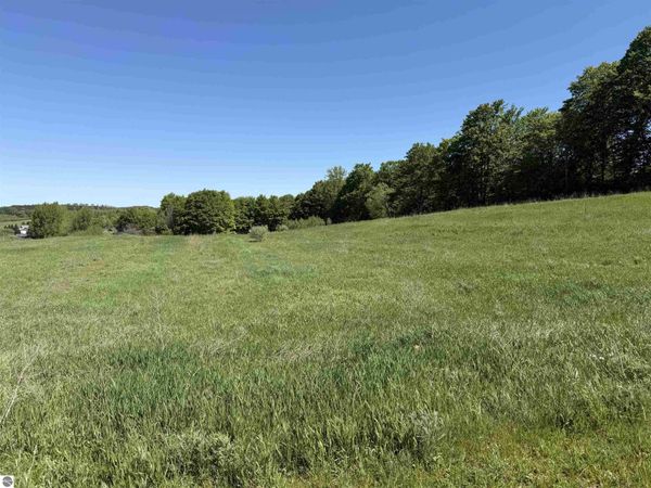 John Michael Drive E, Suttons Bay, MI 49682
