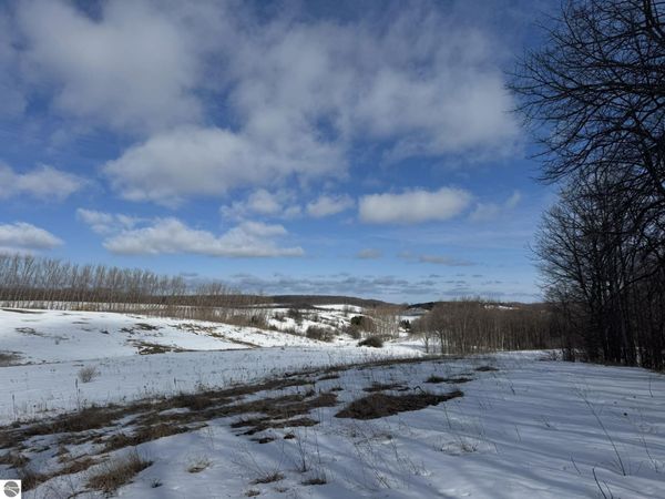 John Michael Drive E, Suttons Bay, MI 49682