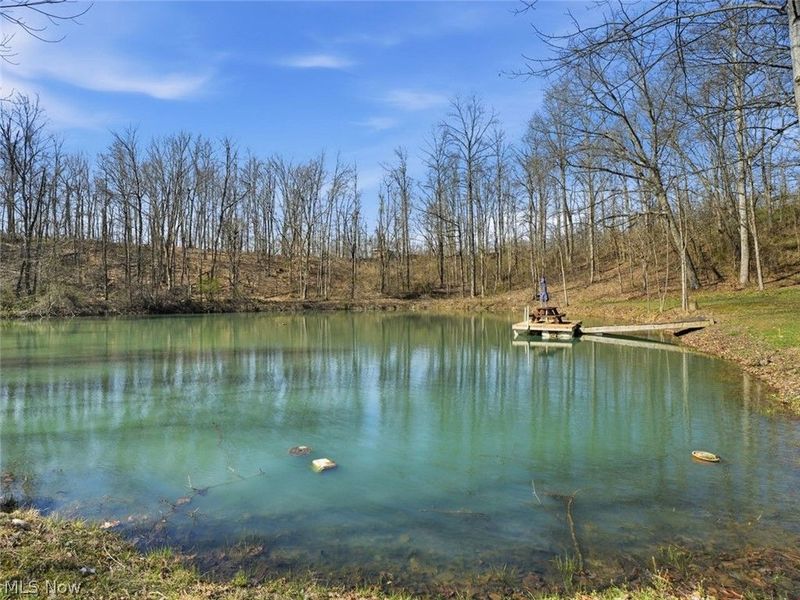 805 Daugherty Road, Stockport, OH 43787 Photo 26