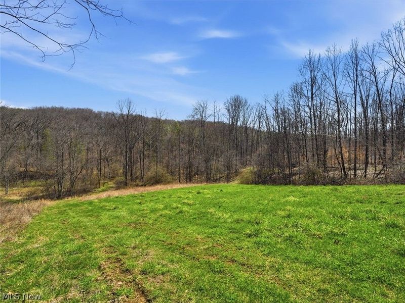 805 Daugherty Road, Stockport, OH 43787 Photo 33